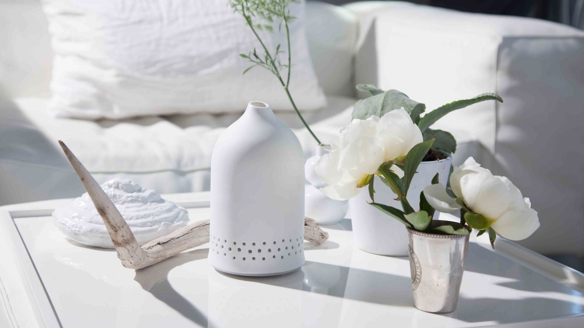 Aroma Diffusers vs. Humidifiers Which Is Best for You? Escents