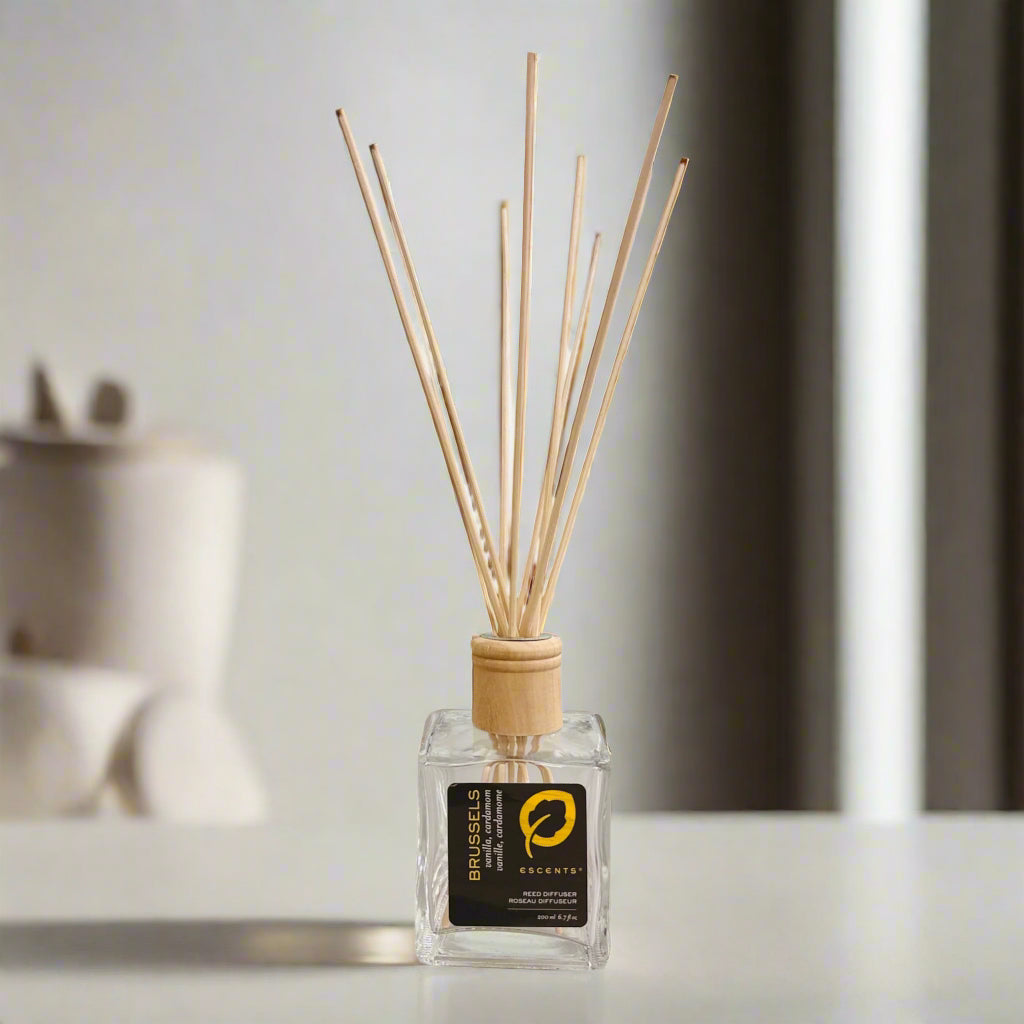 Reed Diffuser - Brussels - Escents Aromatherapy