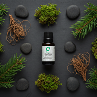 Oak Moss essential oil bottle centred with pine branches, vetiver roots and forest moss by Escents Aromatherapy