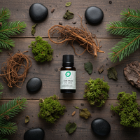 Oak Moss essential oil lifestyle flat lay with pine branches, vetiver roots and forest moss by Escents Aromatherapy