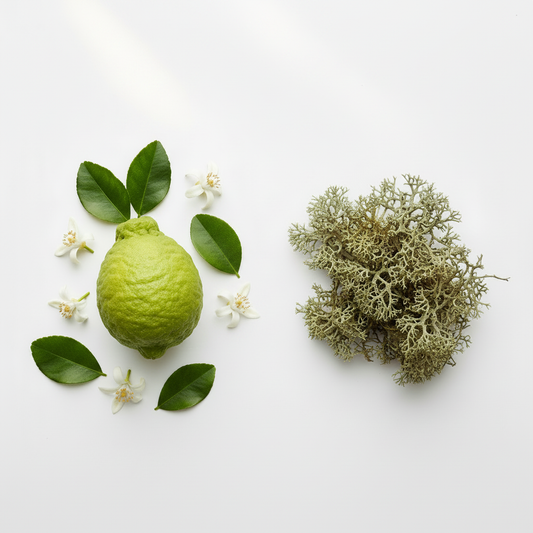 Bergamot & Oakmoss Essential Oils — Breeze Conditioner | Escents Aromatherapy