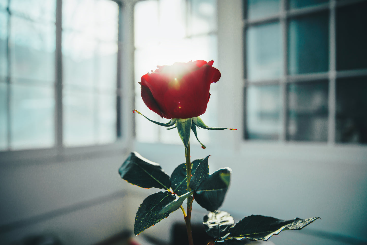 Esents Aromatherapy Valentines Promo