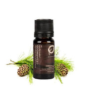 Cedarwood - Premium ESSENTIAL OIL from Escents Aromatherapy Canada - !
