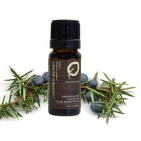 Juniper Berry - Escents