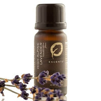 Lavender High Alpine - Escents