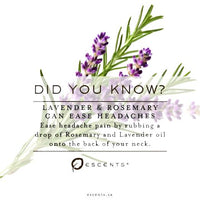 Lavender High Alpine - Escents