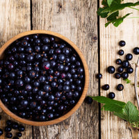 Oasis - Premium Aroma at Home, AROMA BLEND from Escents Aromatherapy Canada - !