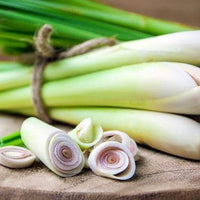 Outdoor - Premium Aroma at Home, AROMA BLEND from Escents Aromatherapy Canada - !