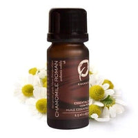 Precious Oil Chamomile Roman - Premium ESSENTIAL OIL, Precious Oil from Escents Aromatherapy - !
