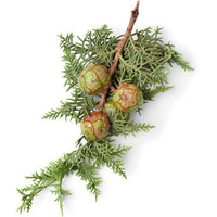 Roll-On Weight Of The Soul - Escents