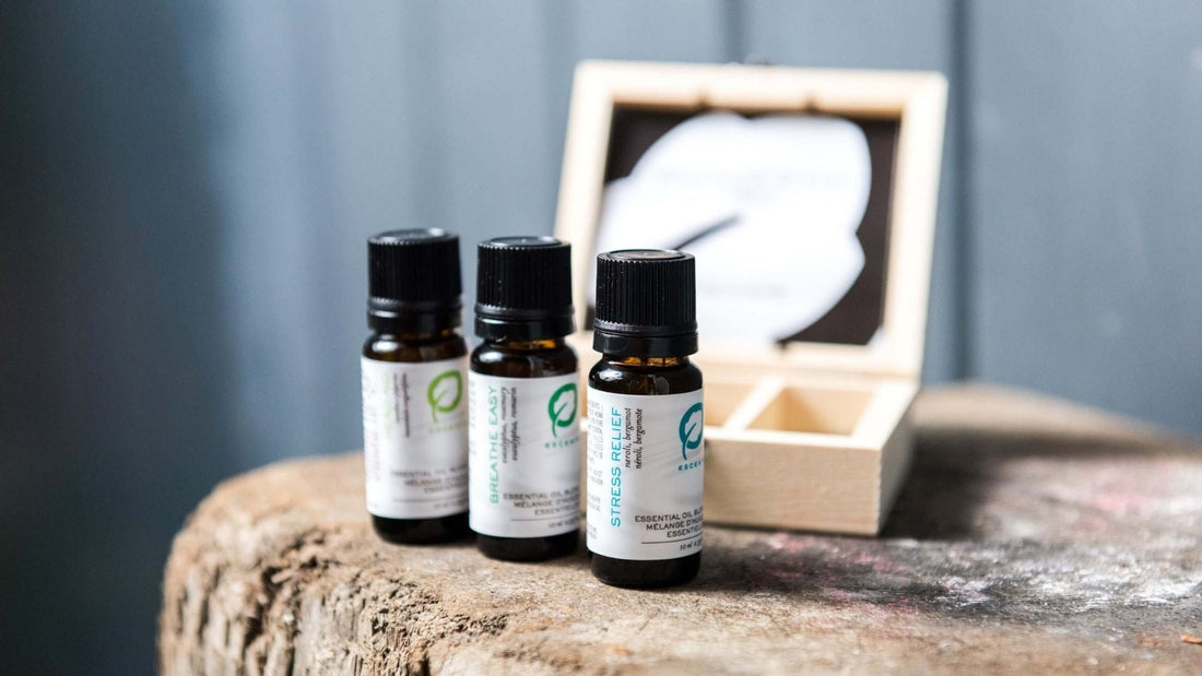 10 Aromatherapy Basics Beginners Should Know - Escents 