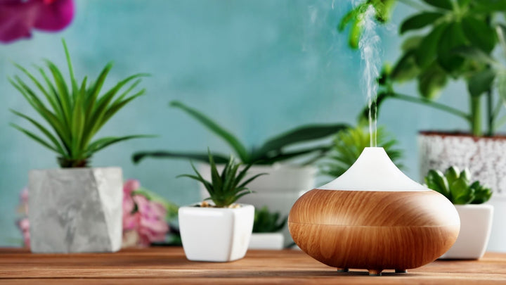 4 Factors To Consider When Choosing an Aroma Diffuser - Escents 