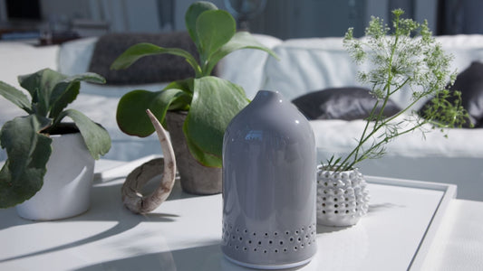 5 Simple Ways To Make Your Home Smell Amazing - Escents 