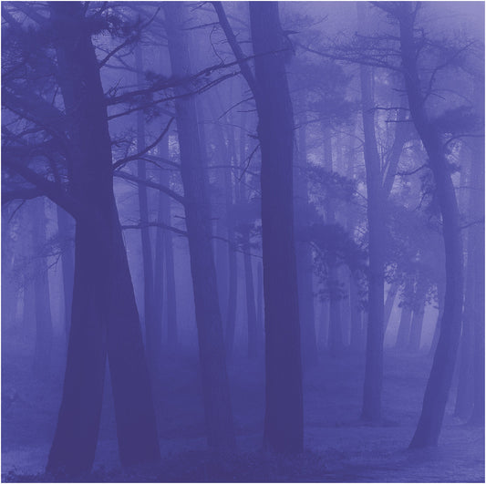 Finding Balance: Grounding Aromatherapy for Emotional Wellbeing