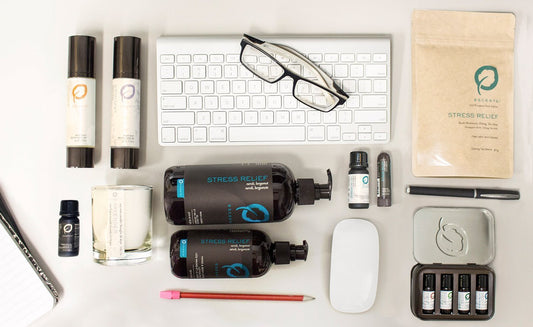 Back-to-School Essentials - Escents 