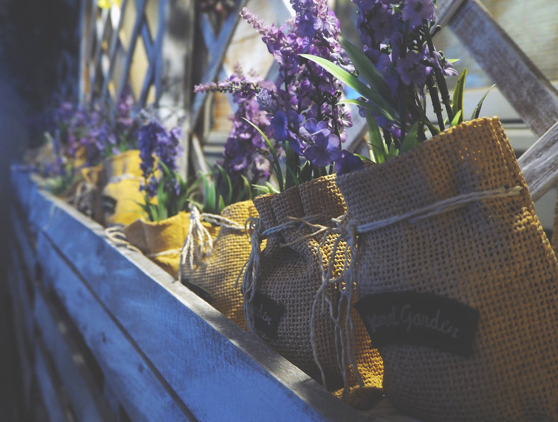 Essential Oils for Sleep - Escents 