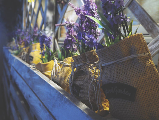 Essential Oils for Sleep - Escents 