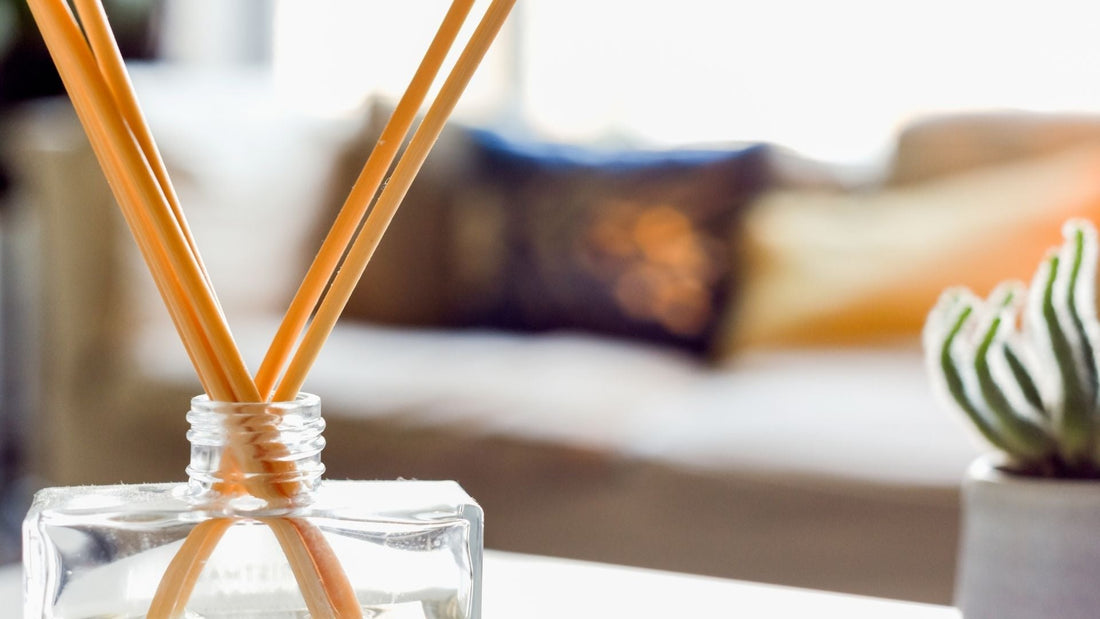 How To Improve Indoor Air Quality in Your Home - Escents 