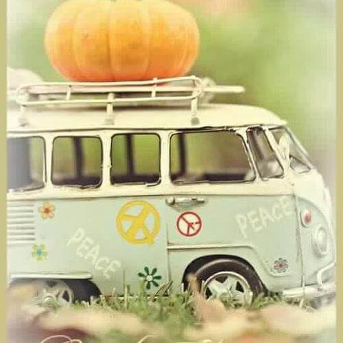 How To Use Your Favourite Fall Scents - Escents 