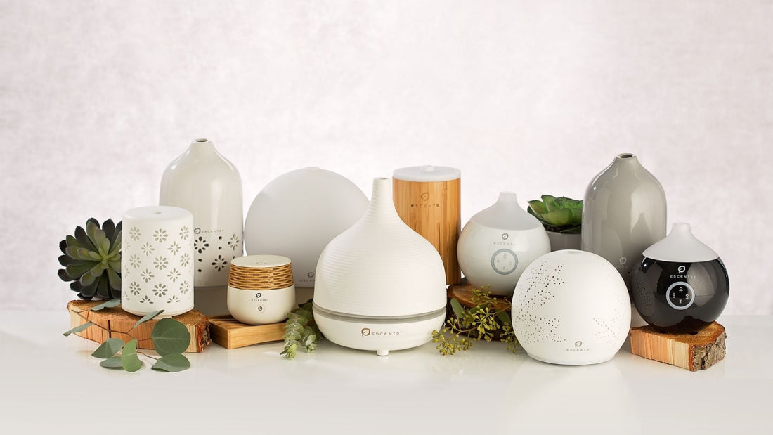 Your Guide To Essential Oils: How To Scent a Room - Escents 