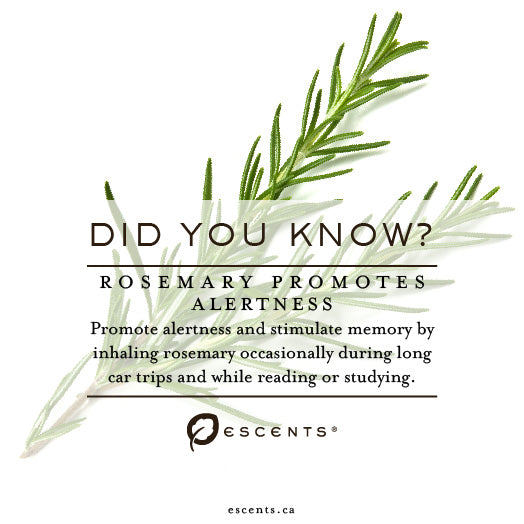 Rosemary Favourites