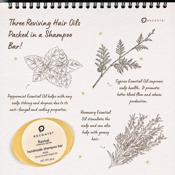 Revival Hair Care Collection