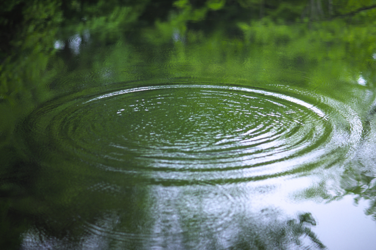 Dew Drop Collection