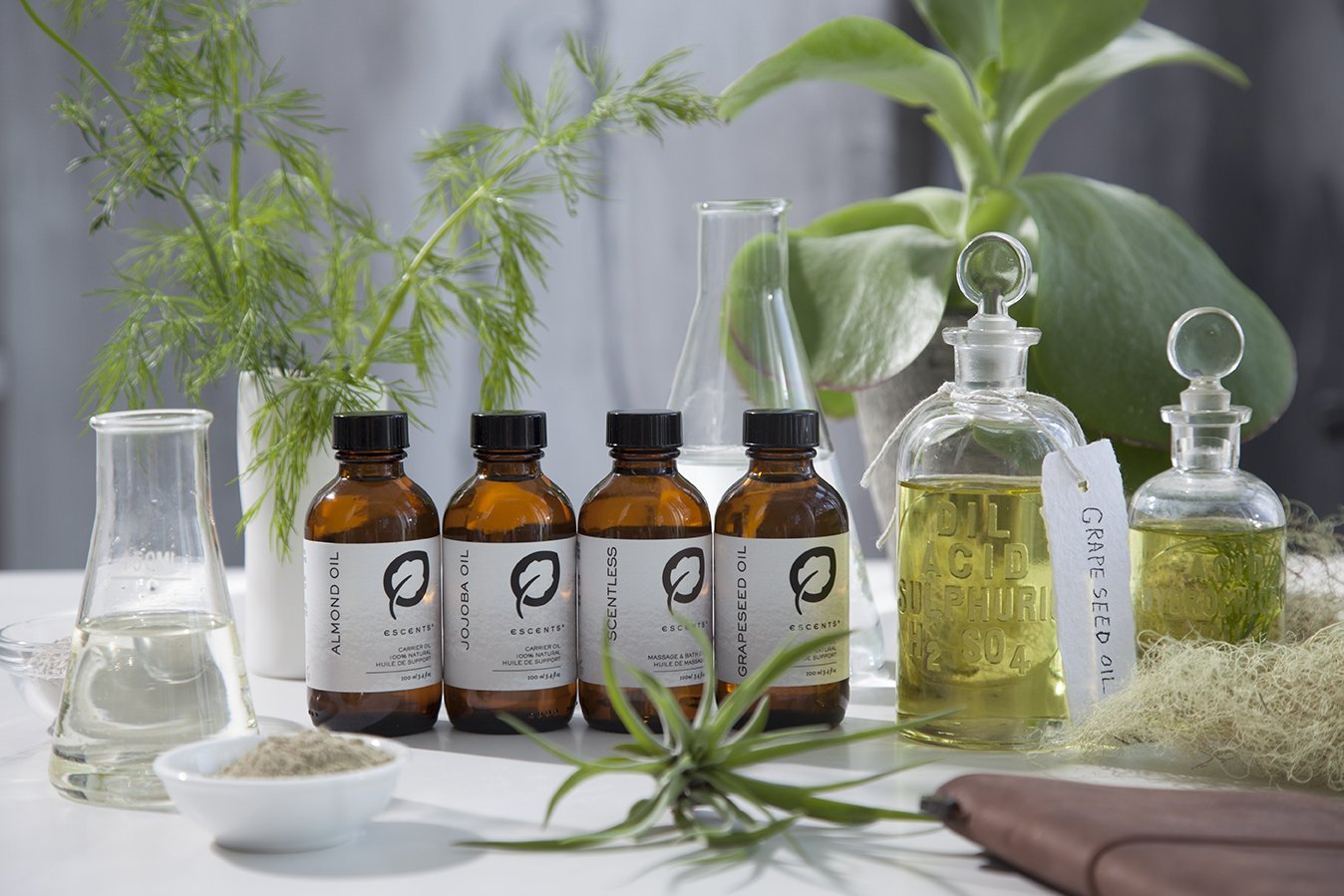Carrier Oils for Sale - Escents 