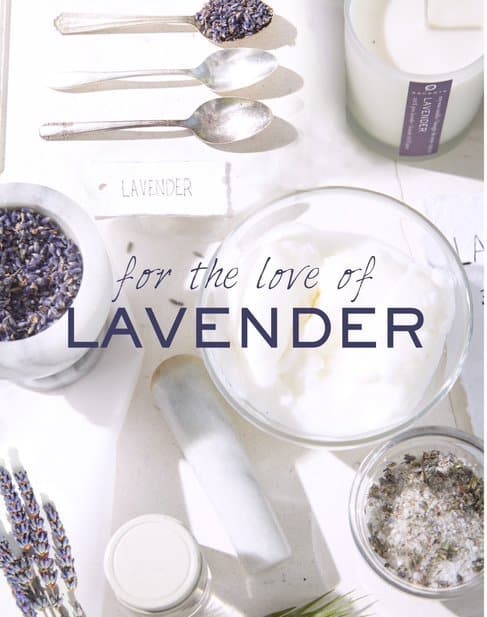 Lavender Collection