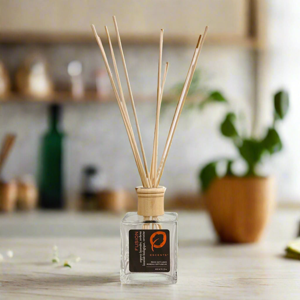 Reed Diffuser - Fusion (modified) - Escents Aromatherapy