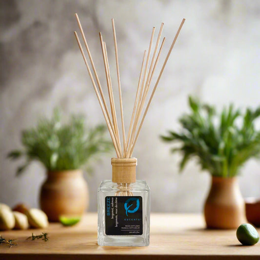 Reed Diffuser - Breeze - Escents Aromatherapy