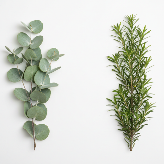 Eucalyptus & Tea Tree Essential Oils — Vitalize Shampoo | Escents Aromatherapy