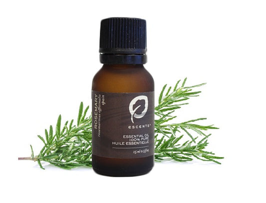 Rosemary - Escents Aromatherapy