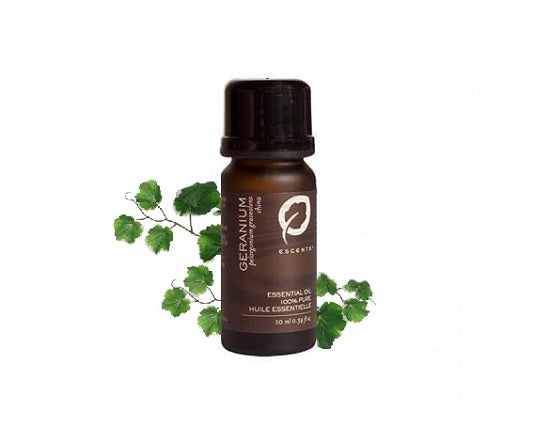 Geranium - Escents Aromatherapy