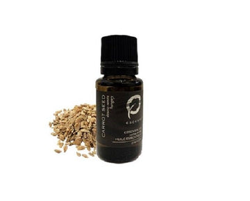 Carrot Seed - Premium ESSENTIAL OIL from Escents Aromatherapy Canada Canada -  !