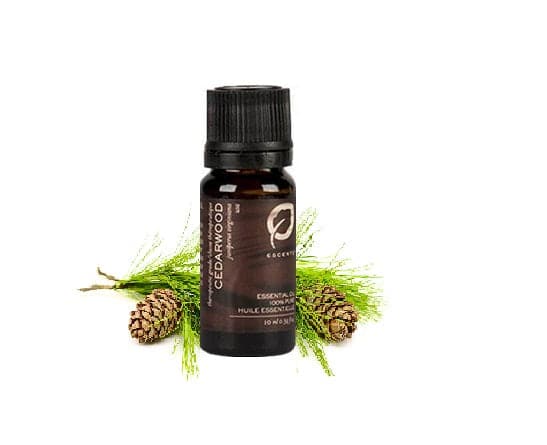 Cedarwood - Premium ESSENTIAL OIL from Escents Aromatherapy Canada -  !