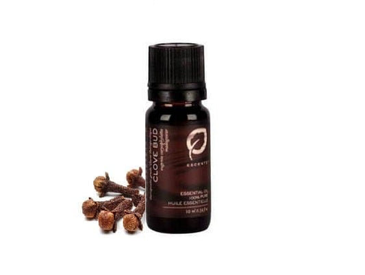 Clove Bud - Premium ESSENTIAL OIL from Escents Aromatherapy Canada -  !