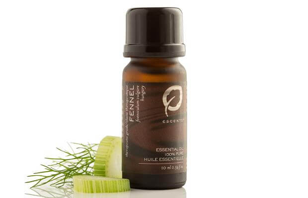 Fennel - Escents Aromatherapy