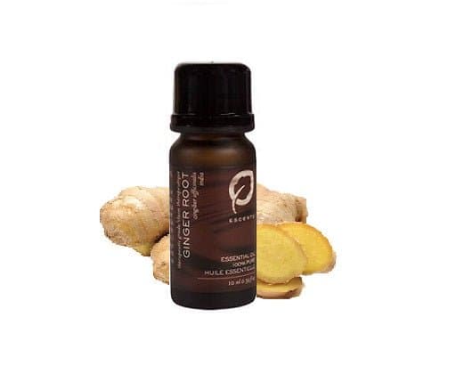 Ginger Root - Escents