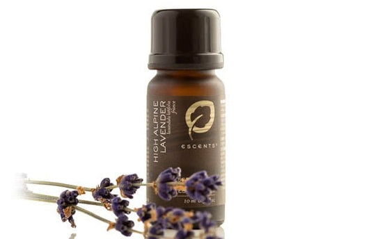 Lavender High Alpine - Escents