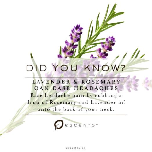 Lavender High Alpine - Escents