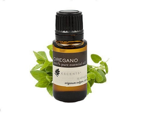 Oregano - Escents Aromatherapy