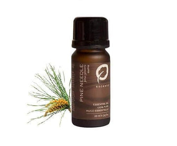 Pine Needle - Premium ESSENTIAL OIL from Escents Aromatherapy Canada -  !