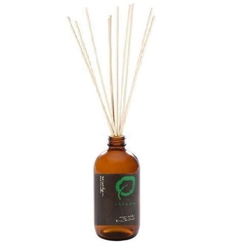 Reed Diffuser Green Tea - Premium Aroma at Home, Reed Diffuser from Escents Aromatherapy - Just $28.00! Shop now at Escents 