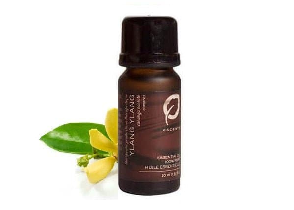 Mezcla premium de ylang ylang de Escents Aromaterapia